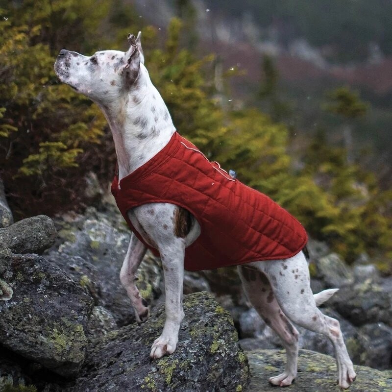 kurgo Loft Hundejacke Wendejacke