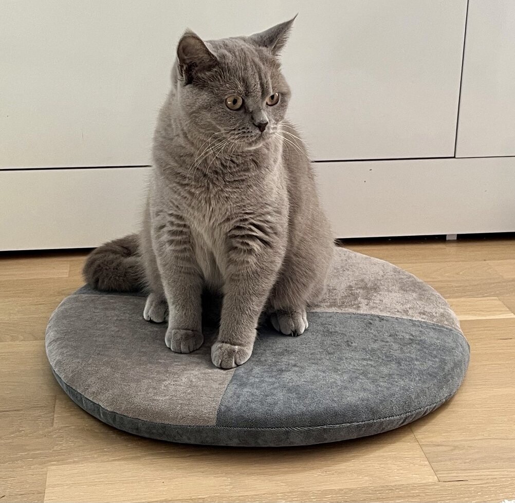 rundoLine Katzenkissen "Dream".
