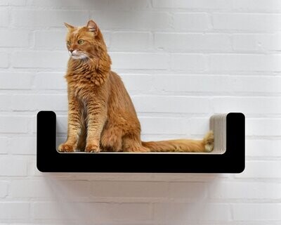 Suma Takai Katzen Wandliege