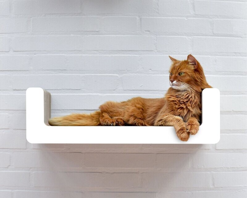 Suma Takai Katzen Wandliege Suma Takai Katzen Wandliege