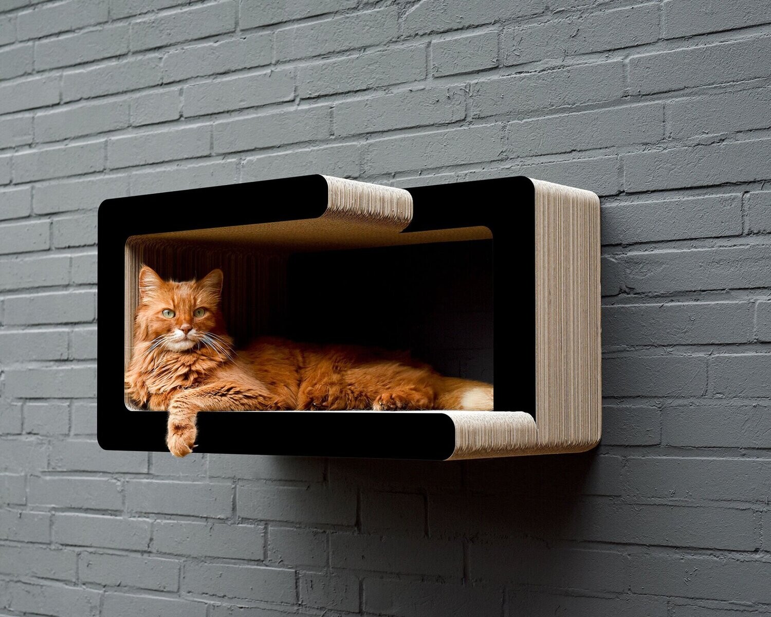 KIO TADASHI Katzen Wandkratzmöbel