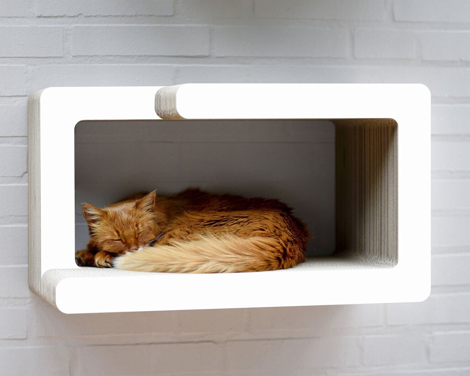 KIO HIDARI Katzen Wandkratzmöbel