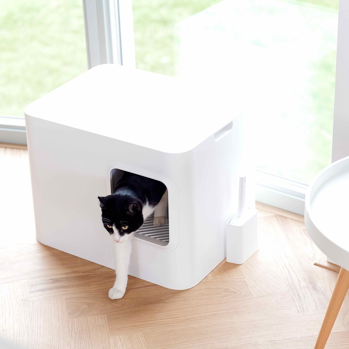 hoopo Dome Katzenklo