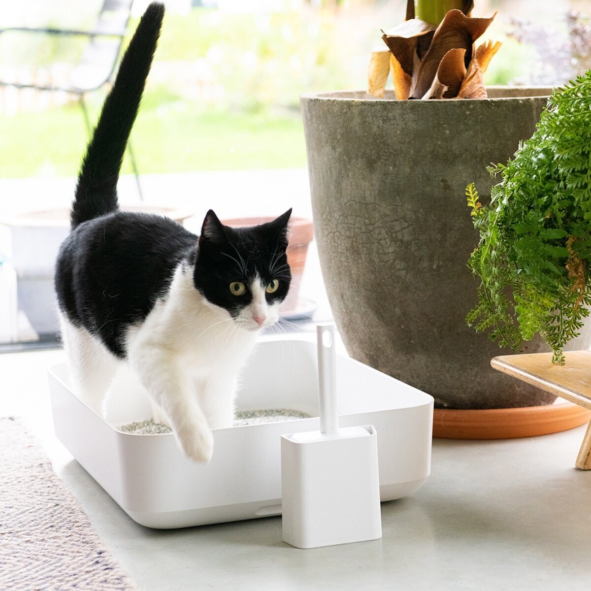 hoopo Poh Katzenklo inkl. 7 L Tofu Katzenstreu