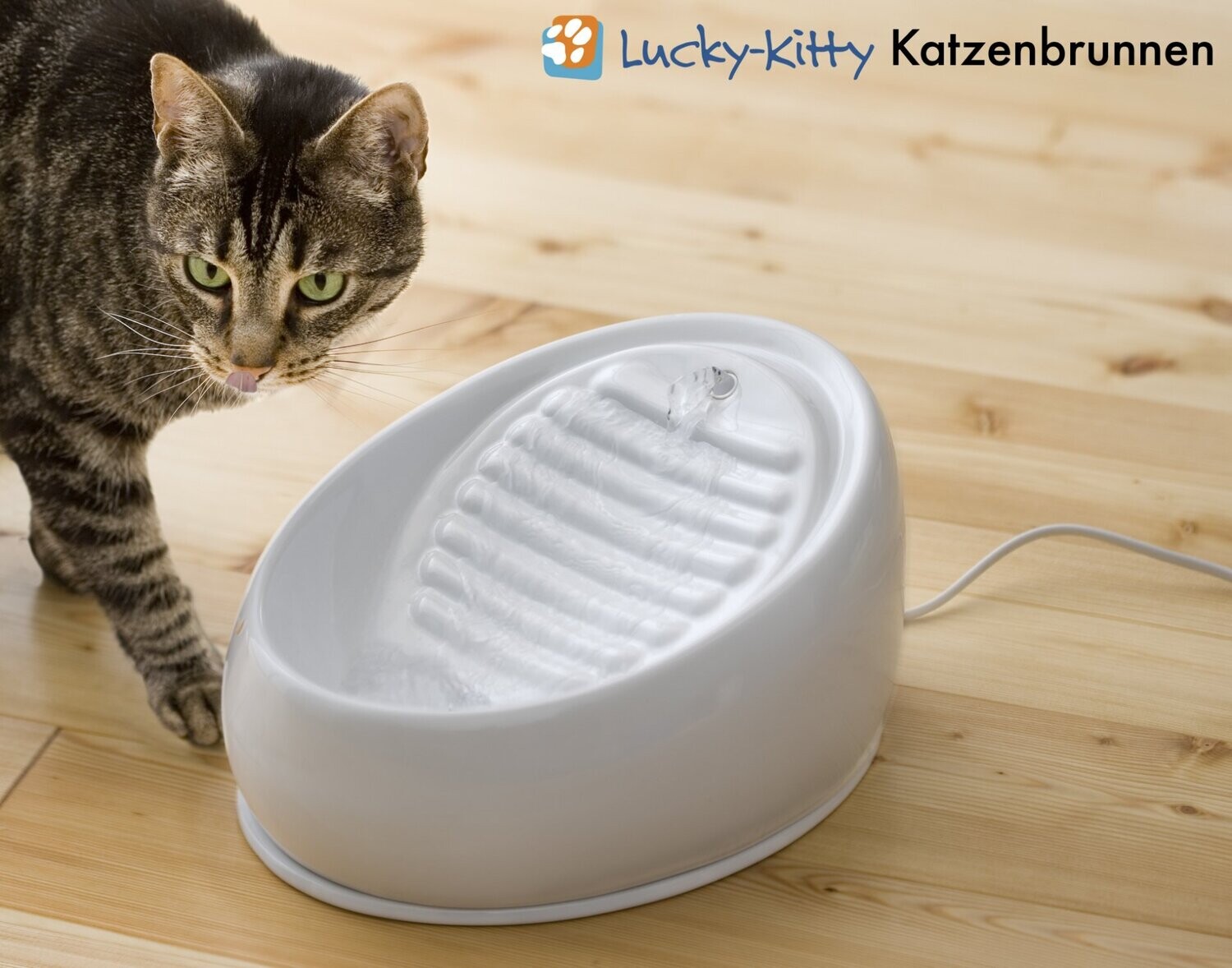 Lucky Kitty Keramik Brunnen für Katzen