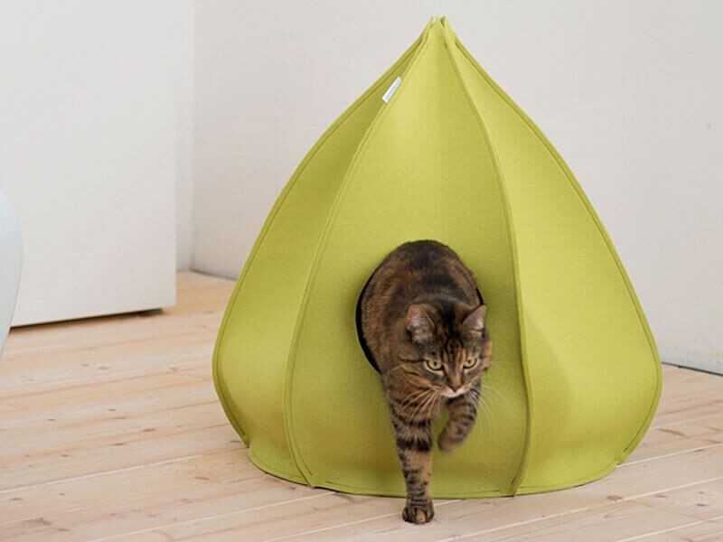 Design Katzenhaus BERTA