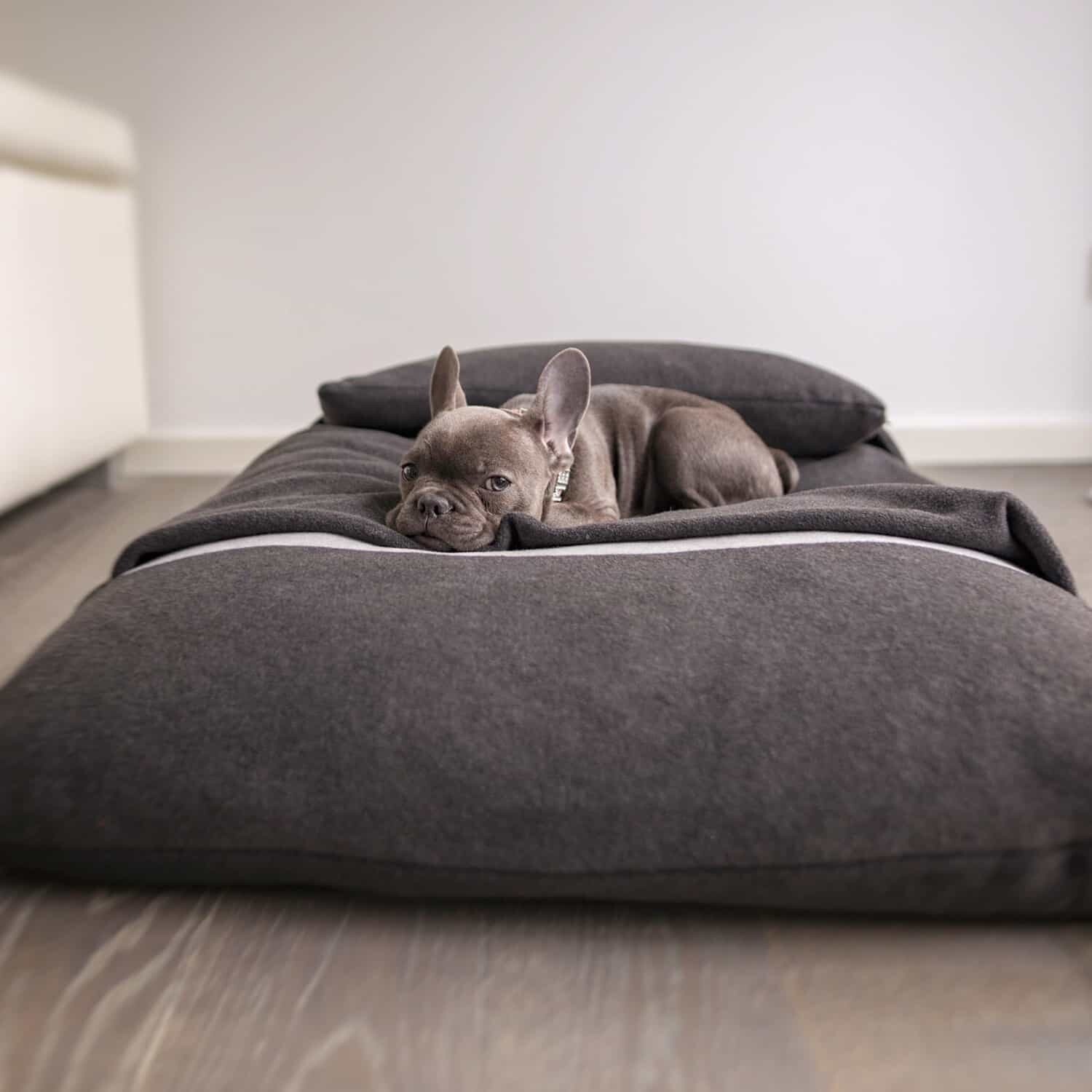 Divan Due Hundekissen