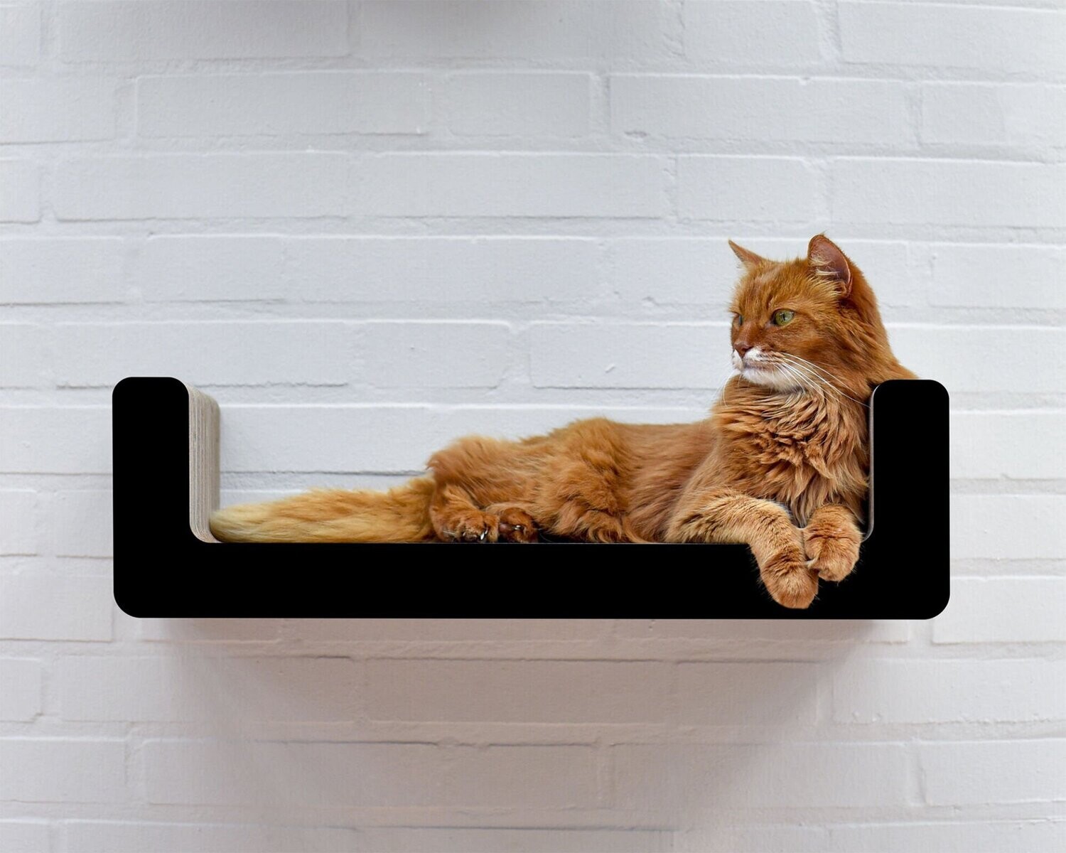 Suma Takai Katzen Wandliege, Farbe: 100.106..013x schwarz