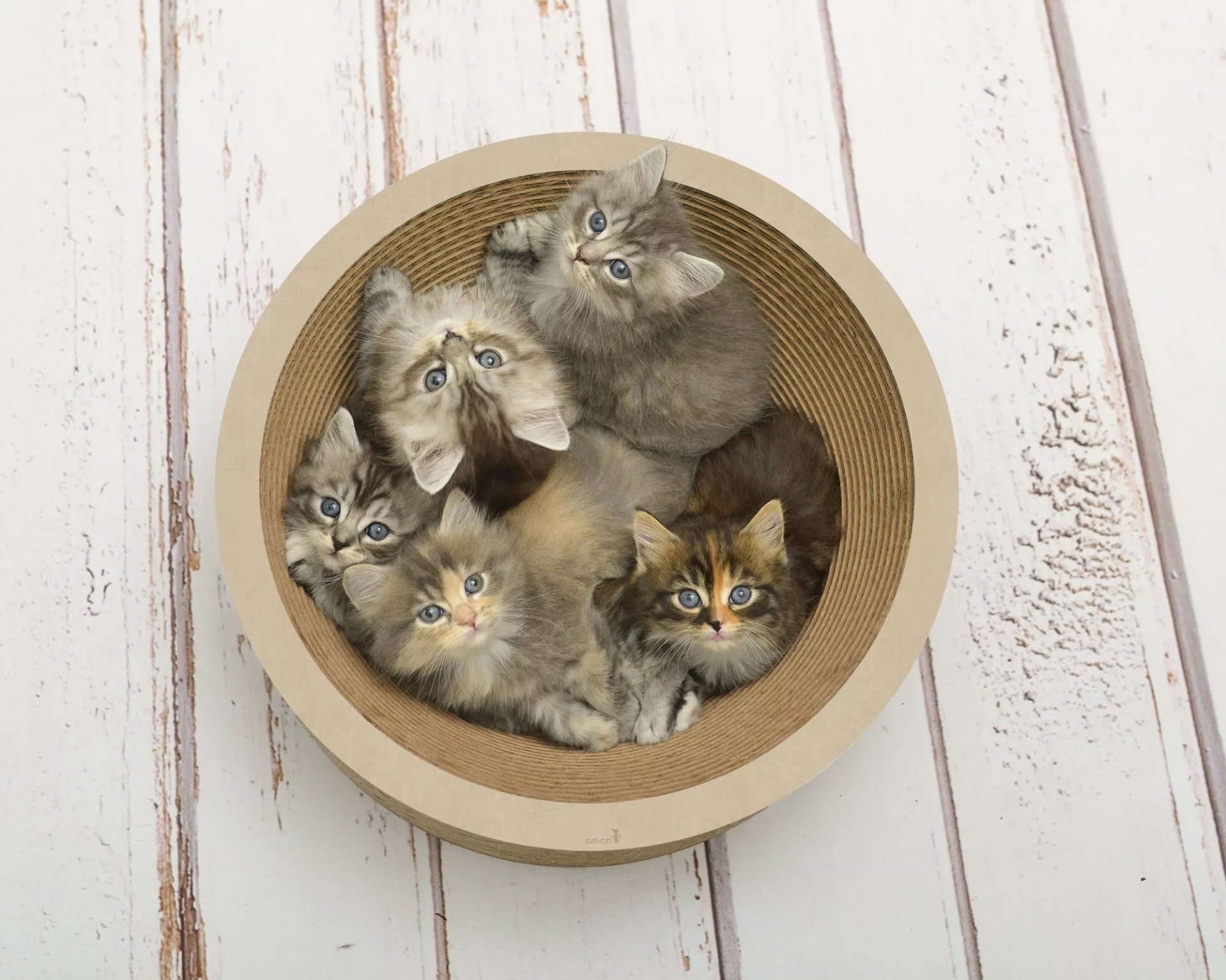 LA COUPE Katzenschale, Farbe: 005 f hellbeige, Größe: D. 40 cm - Höhe: 11 cm Innen-D. 30 cm