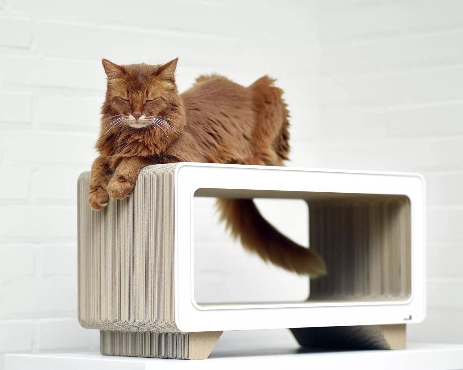 Katzenkratzmöbel La Tele, Farbe: 000 weiss
