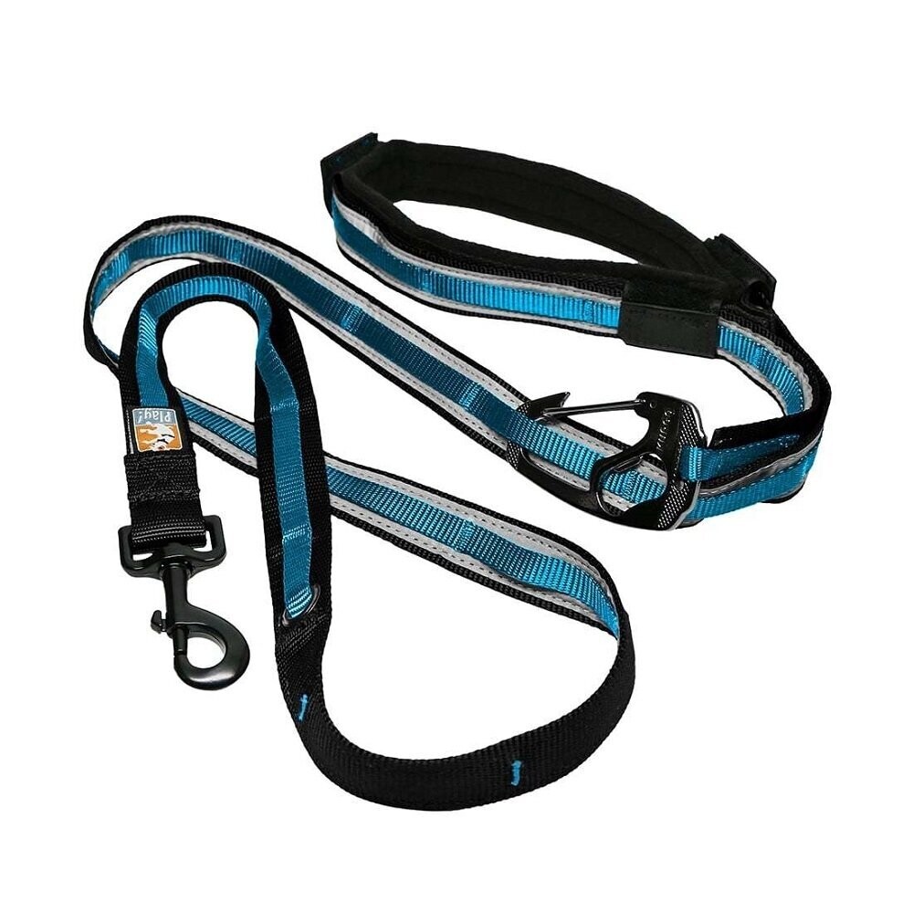 kurgo Quantum 6-in-1 Hundeleine / preisgekrönt, Farbe: Reflektierendes Küstenblau