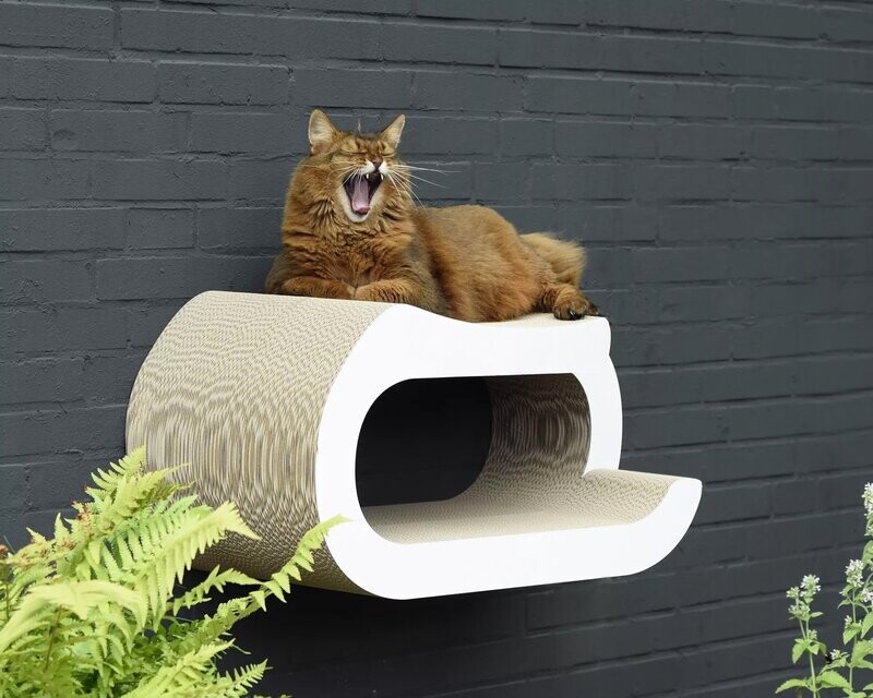 CAT-ON La Maitresse Wall-Kit CAT-ON La Maitresse Wall-Kit