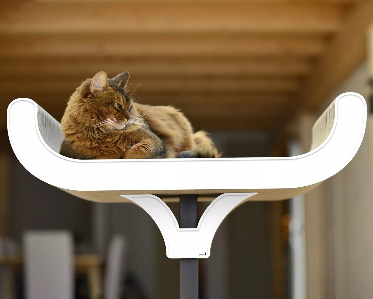 CAT-ON Kratzbaum Corbeille, Farbe: 000 weiss