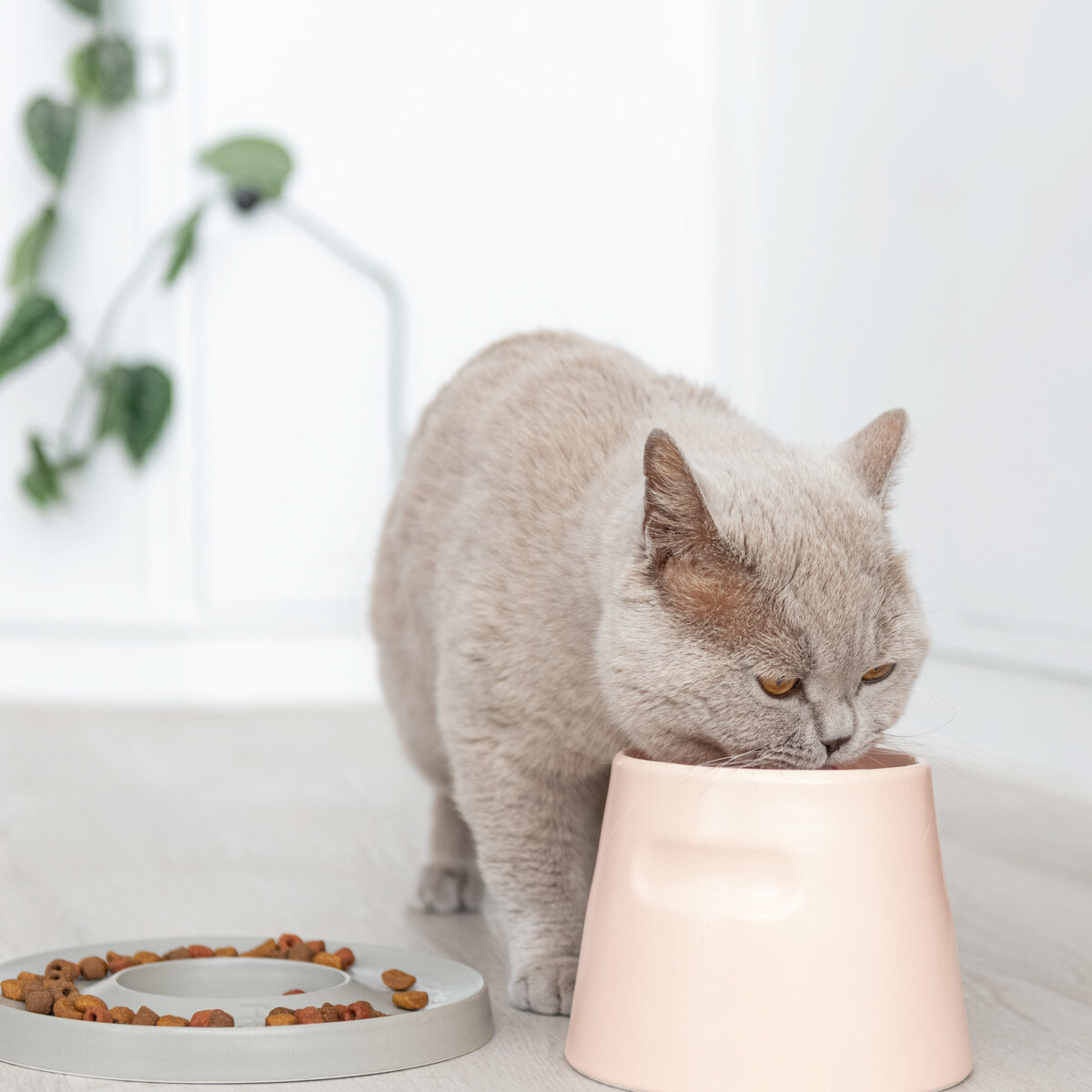 Hoopo "Tower Feeder"  Stilvoller ergonomischer Futternapf