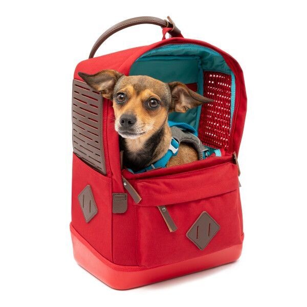 Kurgo Hunderucksack Nomad Kurgo Hunderucksack Nomad