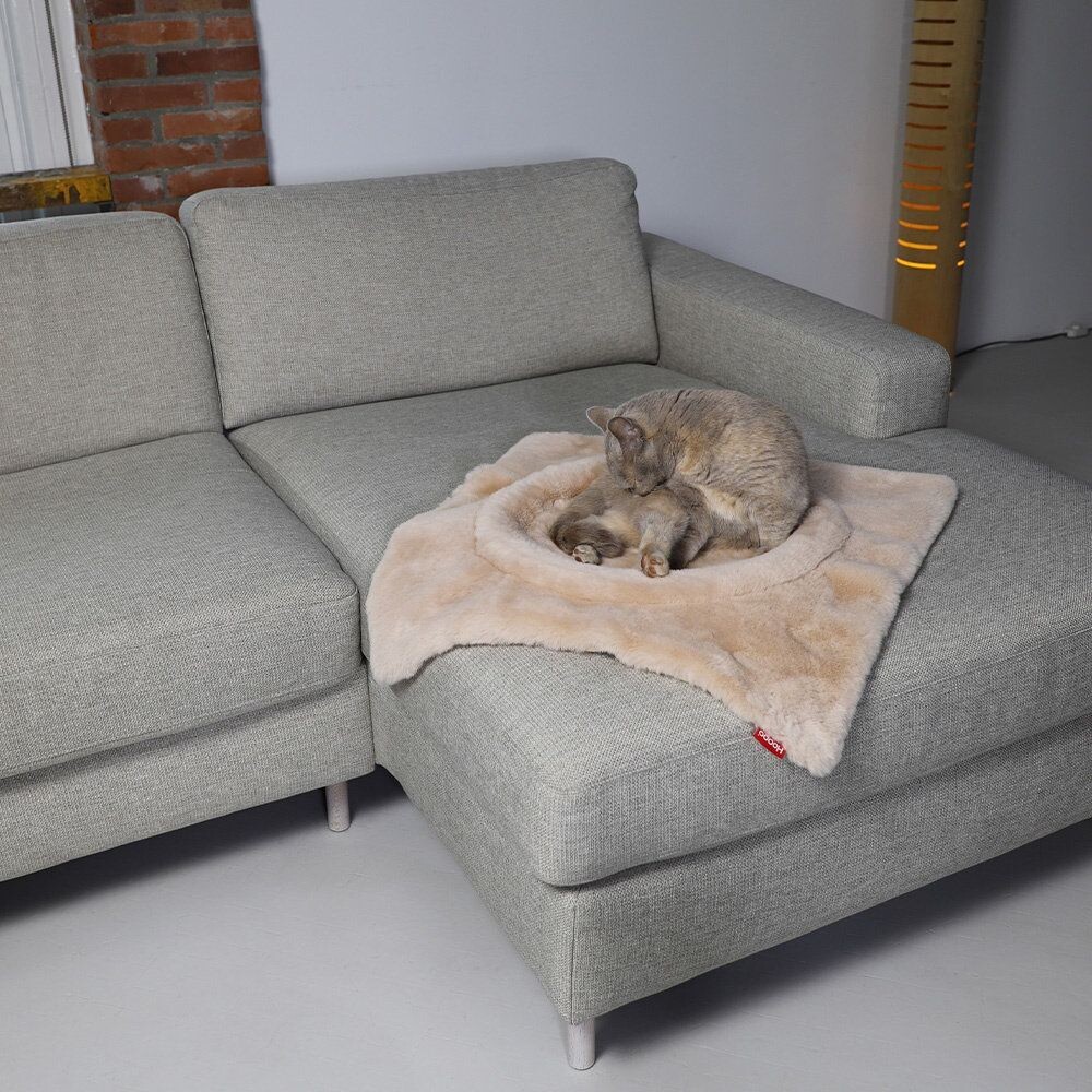 Hoopo Katzenbett Flip