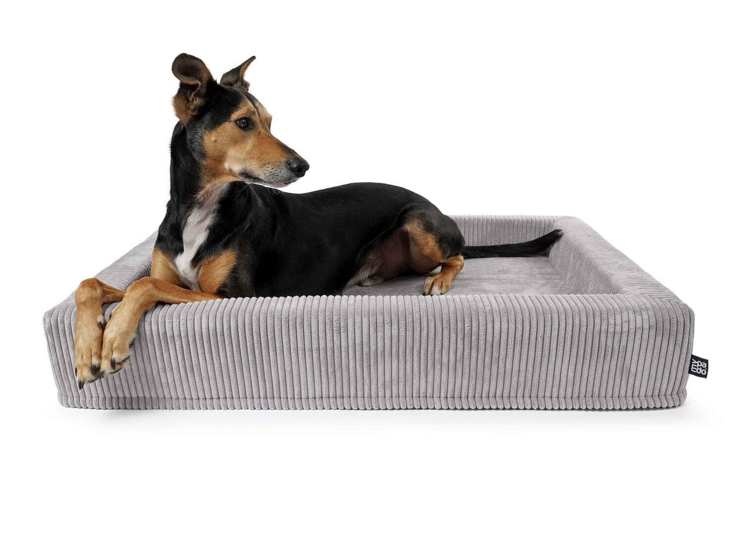 mypado Harko Cord Hundebett, Farbe: Grau, Größe: M - 80x60 cm, Füllung: standard