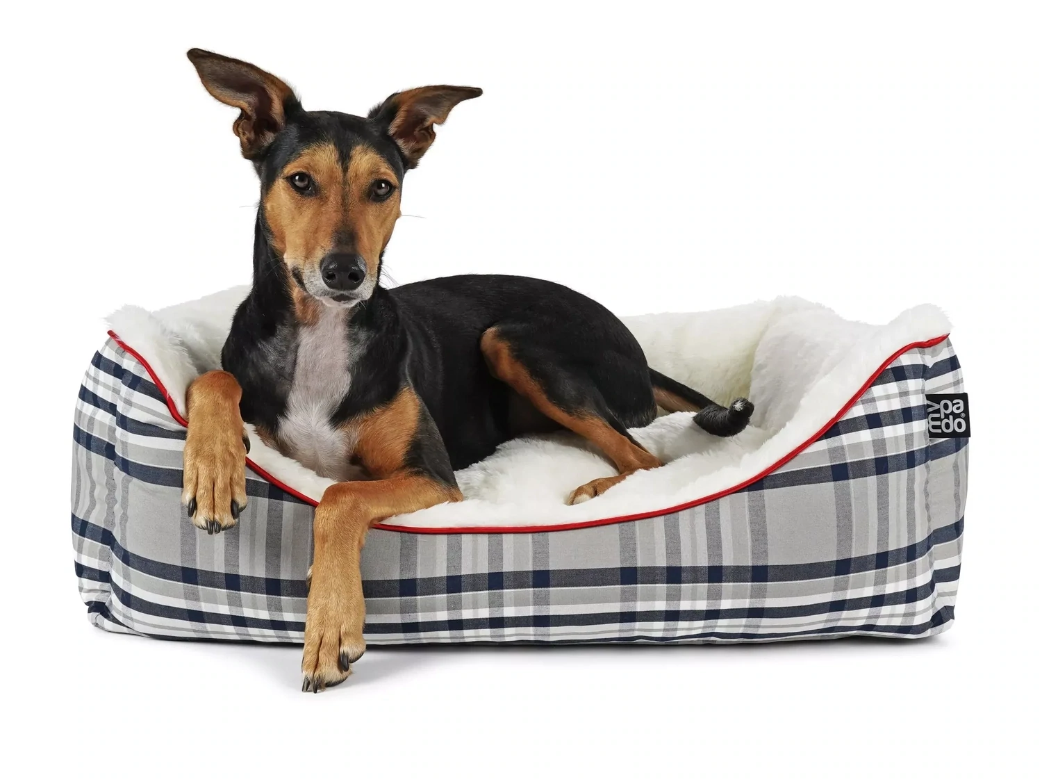 mypado Dreamer Checks Hundebett, Farbe: marine, Größe: S = 70 x 50cm, Füllung: standard