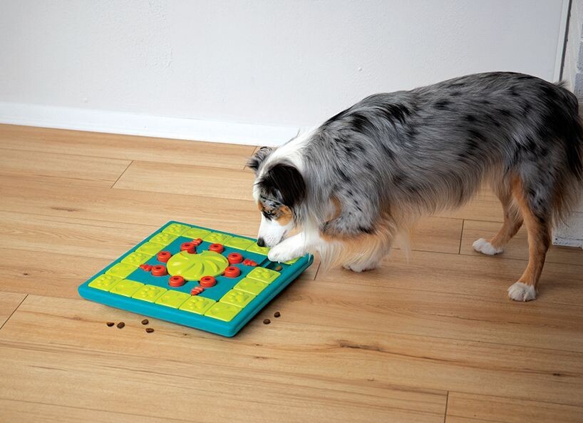 Nina Ottosson MultiPuzzle LEVEL 4