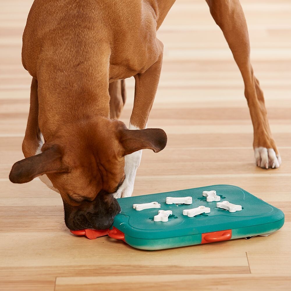 Nina Ottosson Dog Casino LEVEL 3
