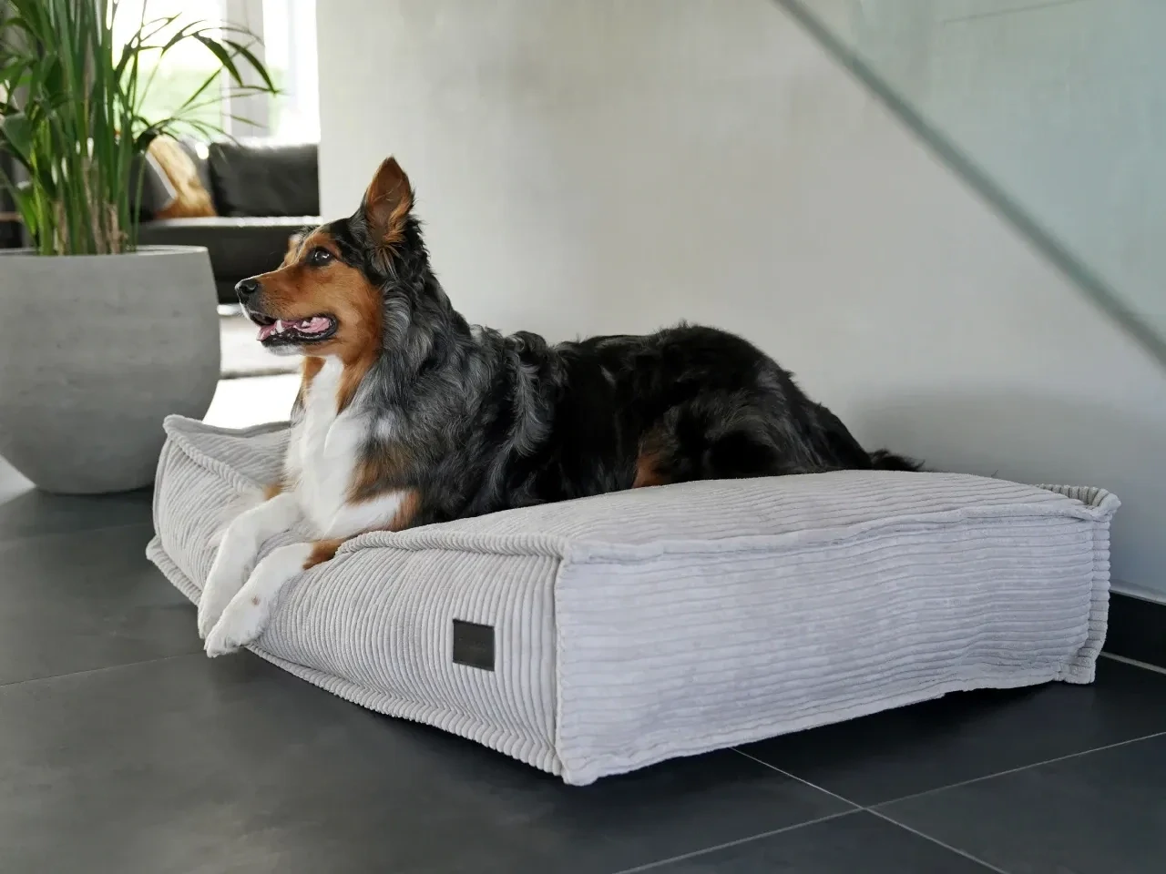 mypado Flow Cord Hundekissen