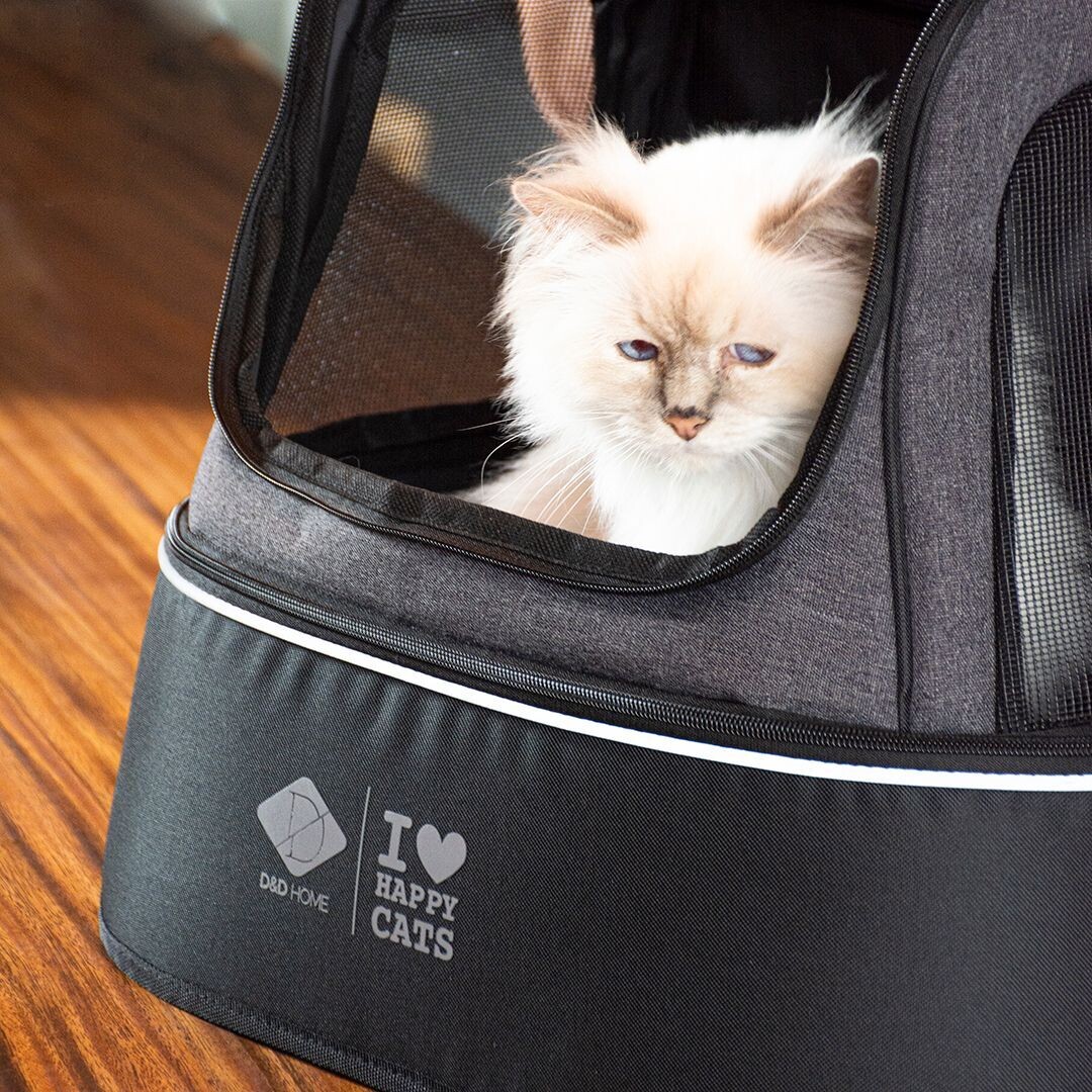 Phoebe Katzen Transporttasche