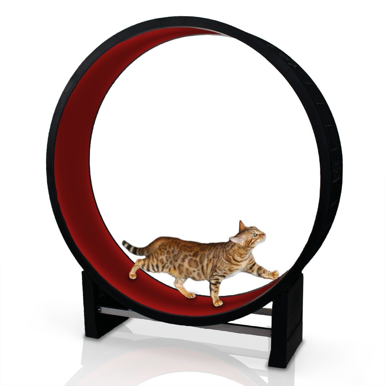 CanadianCat Katzenlaufrad Cat in Motion