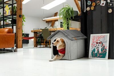 " Home" Stilvolle Hundehütte im modernen Design aus Hochwertigem Stoff