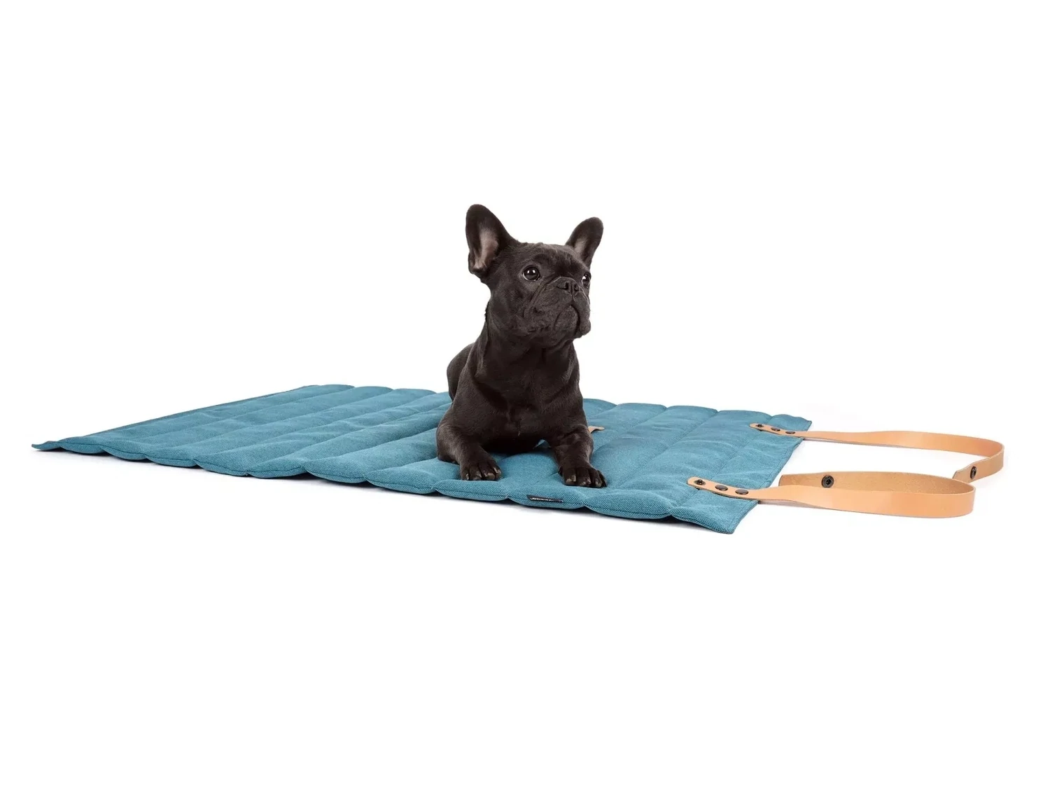 mypado Roll-up Stockholm Mono Hundematte