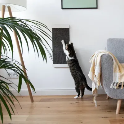 kratzFEST - Sisal Katzen Kratzbrett für die Wand
