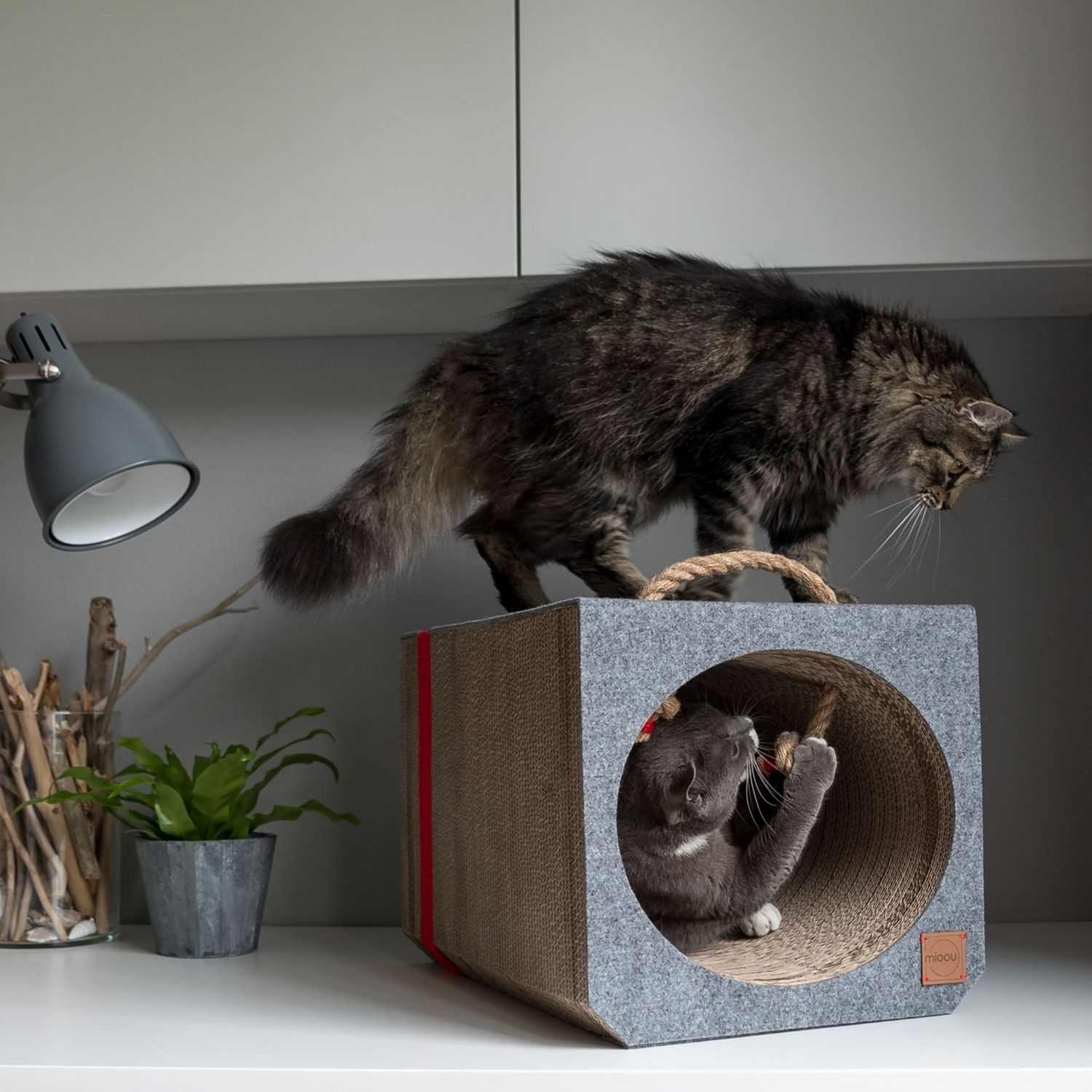 mioou Design Katzentunnel TITO