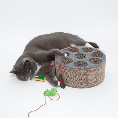 Katzenspielzeug MOSO Katzenspielzeug MOSO