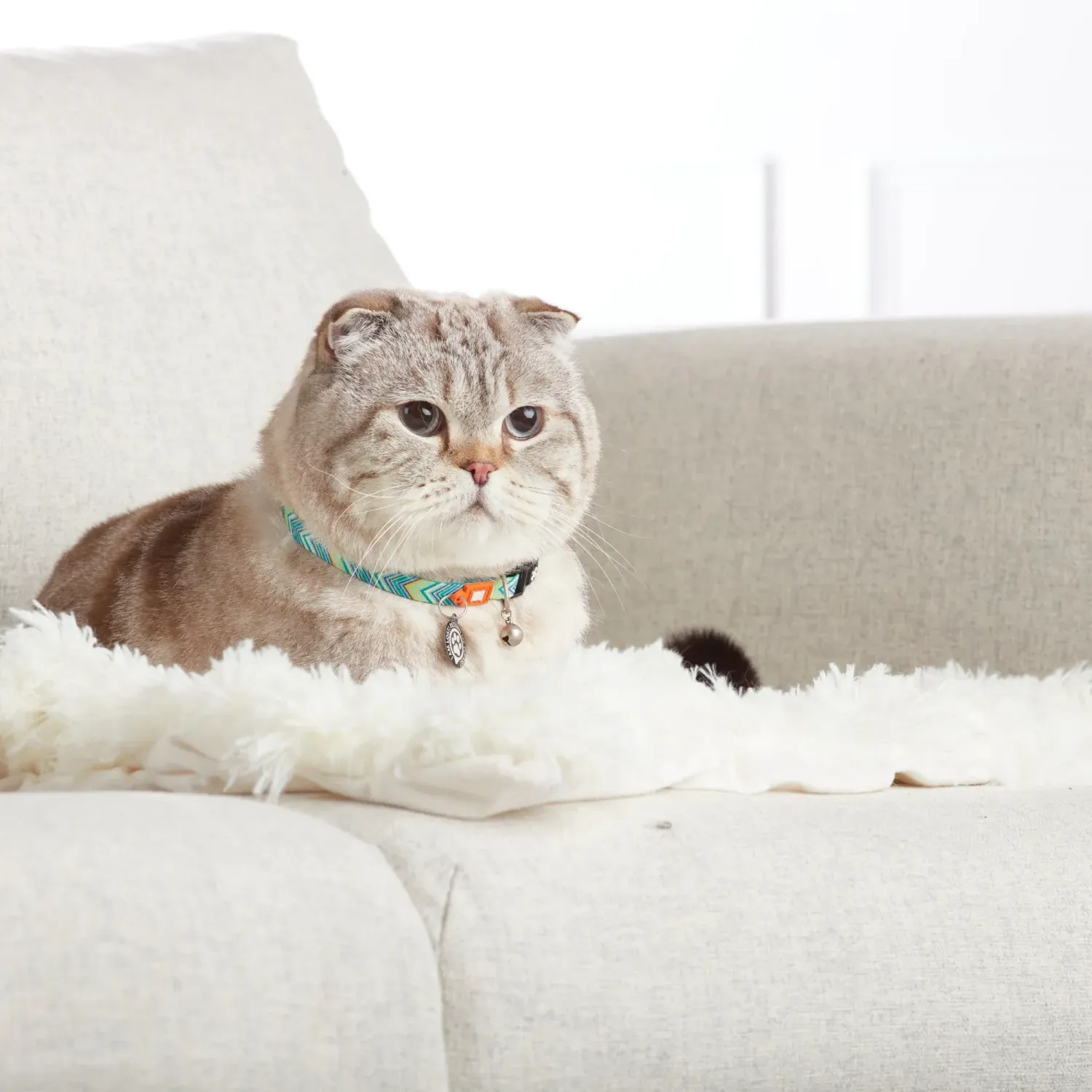 Smart ID Katzen Halsband