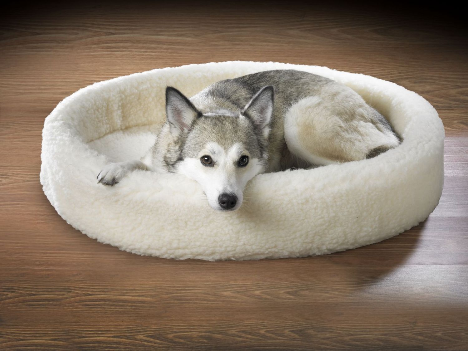 WoolyNest Haustierbett  aus 100 % Schurwolle