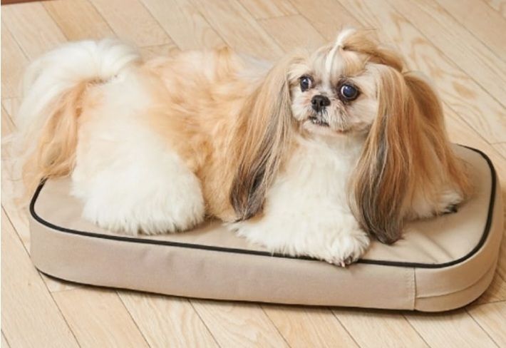 Lounge Mat für Maelson Soft Kennel - Komfotables Hundekissen