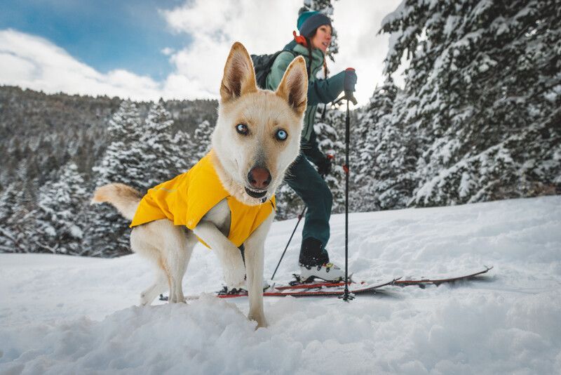 RUFFWEAR VERT Hundejacke, wasserdicht, isolierend - New Design RUFFWEAR VERT Hundejacke, wasserdicht, isolierend - New Design