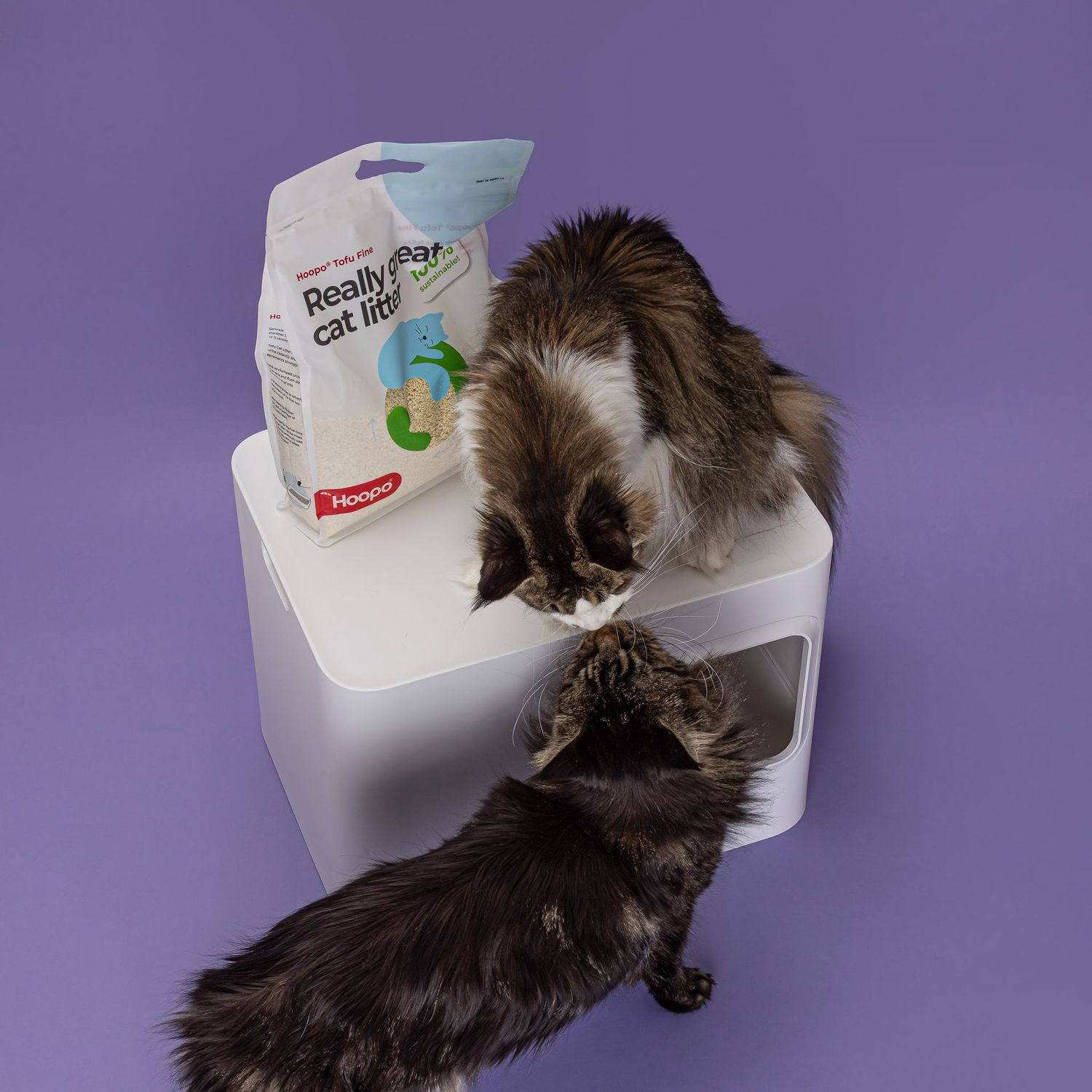 Hoopo Tofu Fine Katzenstreu  Staubfrei, Klumpend & Umweltfreundlich fr  Ihre Katze