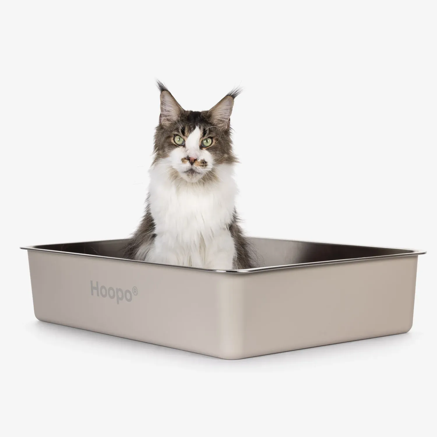 Pool XXL Katzentoilette