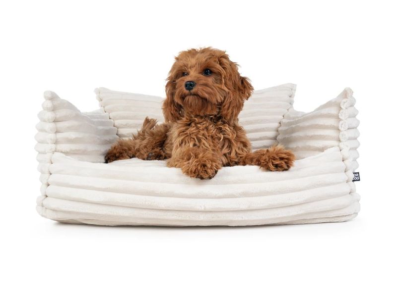 mypado Kanapo Plushcord Hundebett mypado Kanapo Plushcord Hundebett