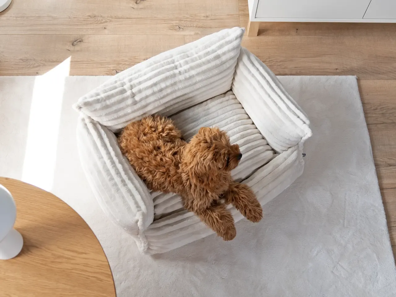 mypado Kanapo Plushcord Hundebett