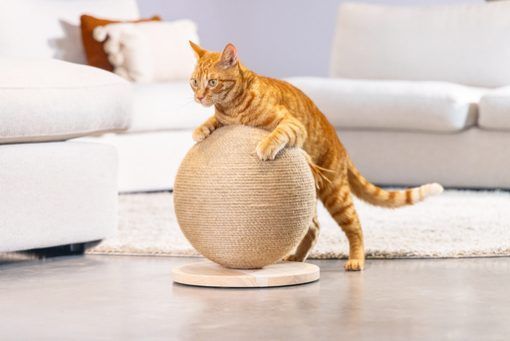 Kratzball Designed by Lotte