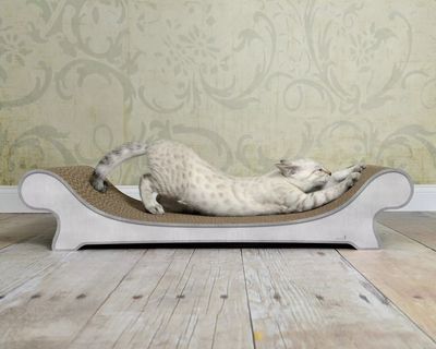 Le Canapé Design Kratzsofa