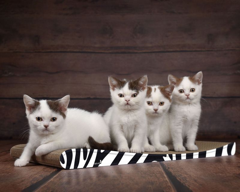 Lounger Slim Line Kratzbrett