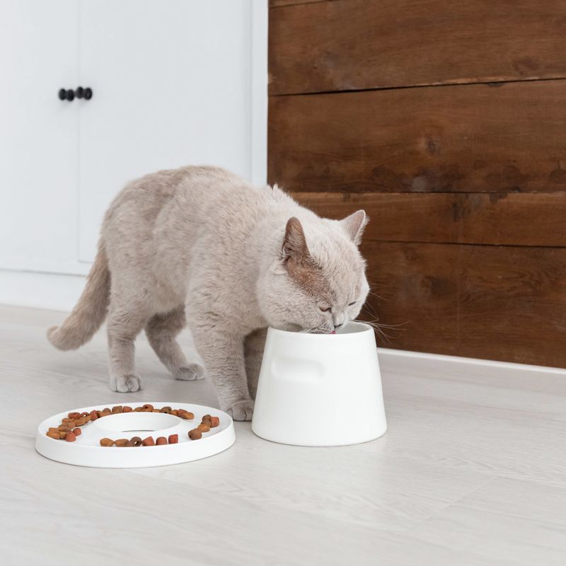 Hoopo "Tower Feeder"  Stilvoller ergonomischer Futternapf