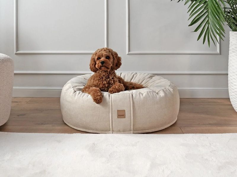 mypado Mio Microcord Hundekissen