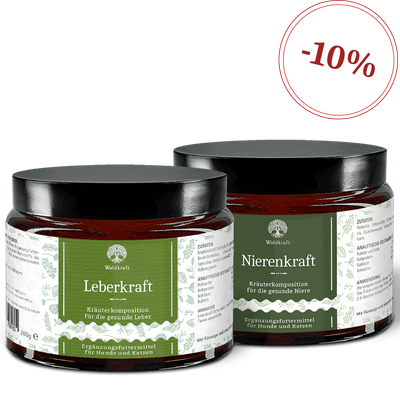 Waldkraft Set: Leber-Niere-Paket