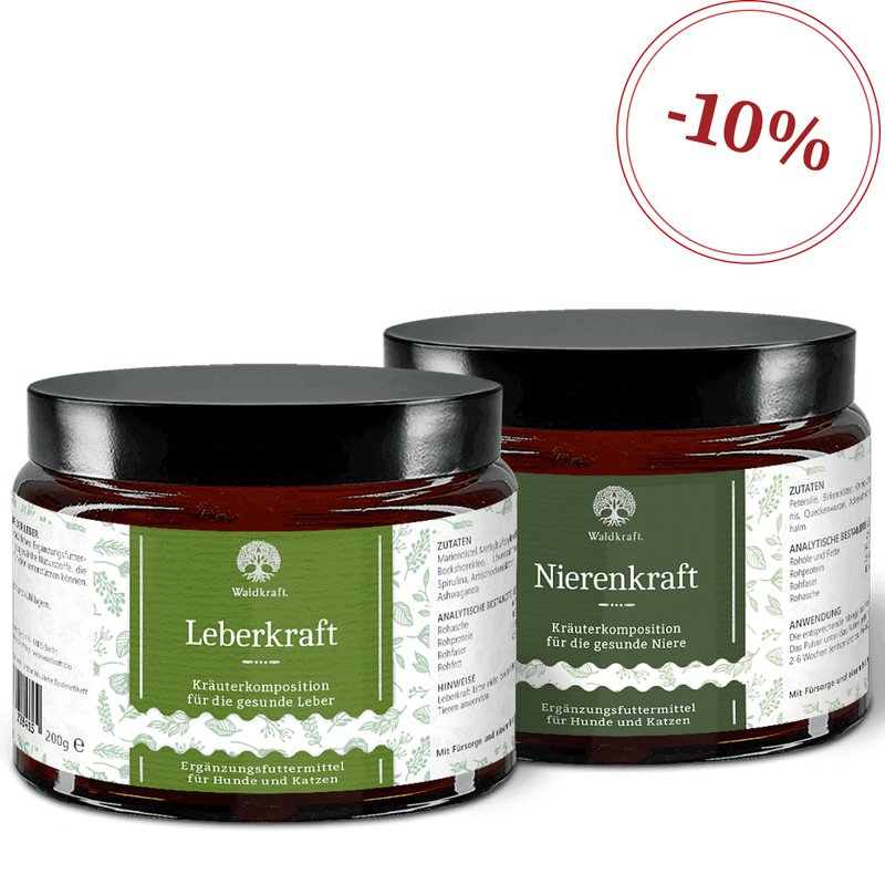 Waldkraft Set: Leber-Niere-Paket