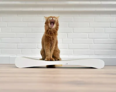 GRATTOIR SLIM LINE  Design Kratzmöbel