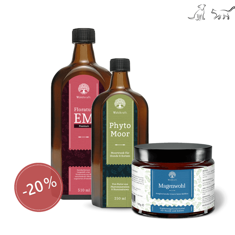 Waldkraft Sparset Verdauung