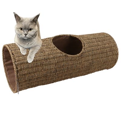 Natur Seegras Katzentunnel Laguna